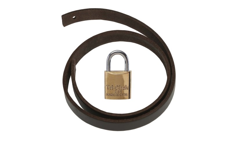 (image for) Leather Strap LHS1 c/w Brass Padlock 20mm Keyed Alike